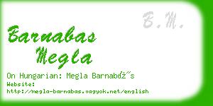 barnabas megla business card